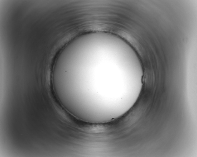 X0000088410445200706051156