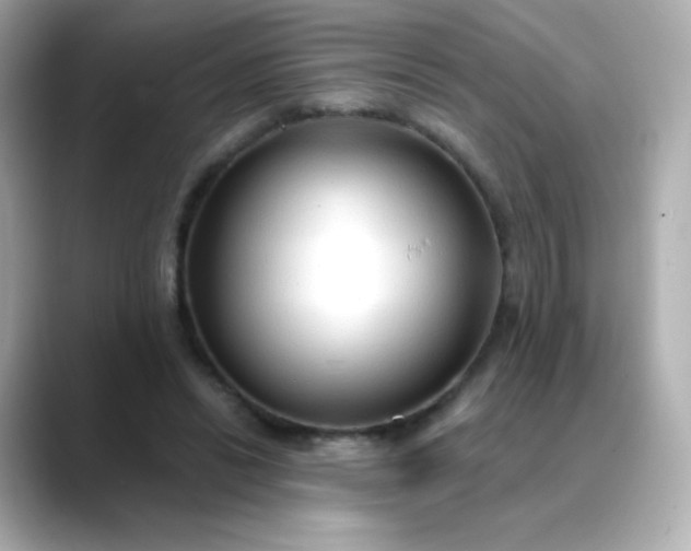 X0000088410446200706051156