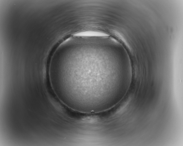 X0000088410447200706051156