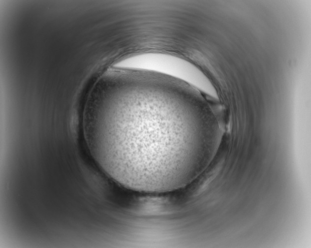 X0000088410448200706051156