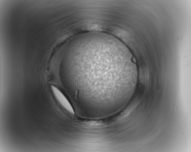 X0000088410449200706051156