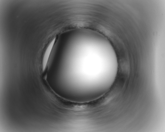 X0000088410450200706051156