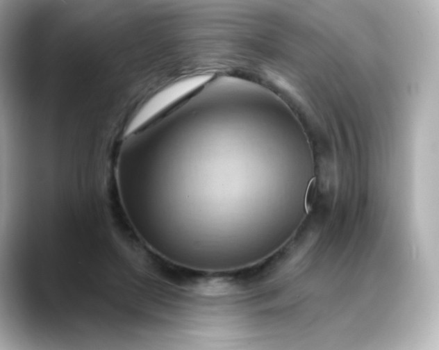 X0000088410451200706051156