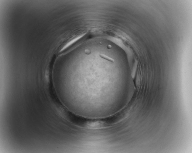 X0000088410452200706051156