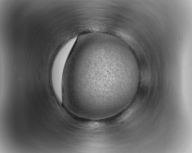 X0000088410453200706051156