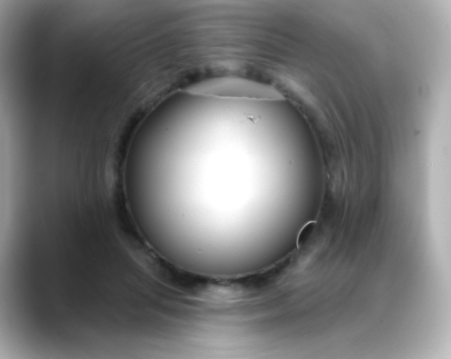 X0000088410455200706051157