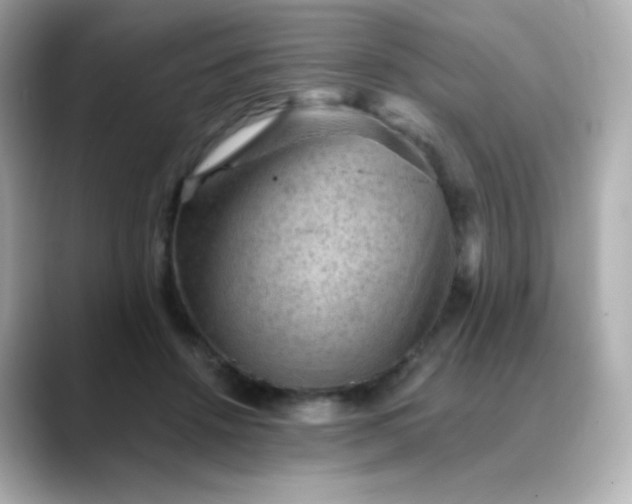 X0000088410456200706051157