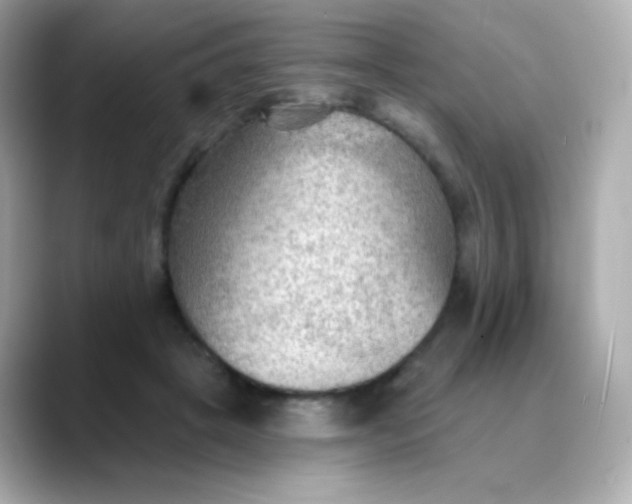 X0000088410457200706051157