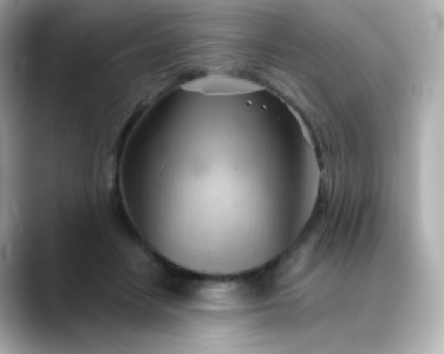 X0000088410458200706051157