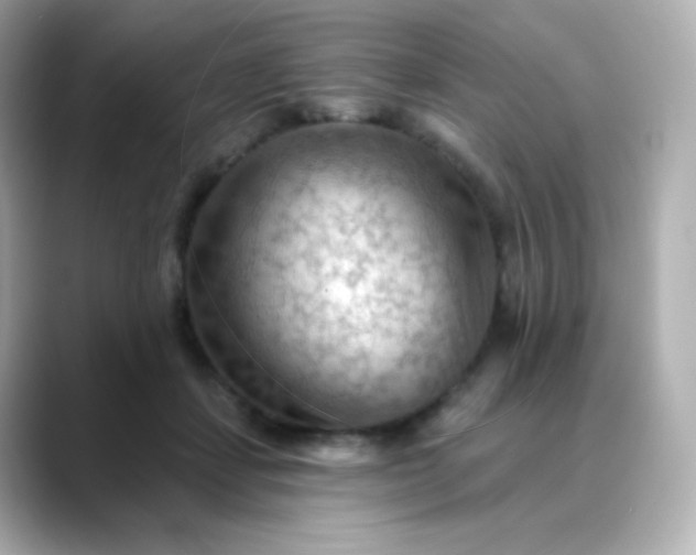 X0000088410459200706051157