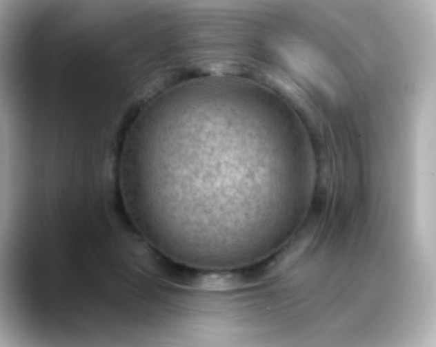 X0000088410461200706051157