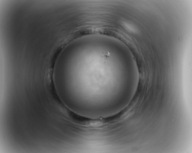 X0000088410462200706051157