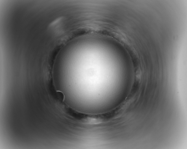 X0000088410464200706051157