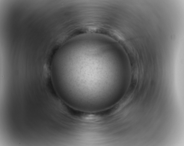 X0000088410467200706051157