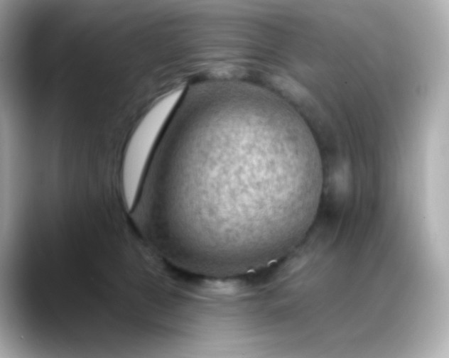 X0000088410469200706051157