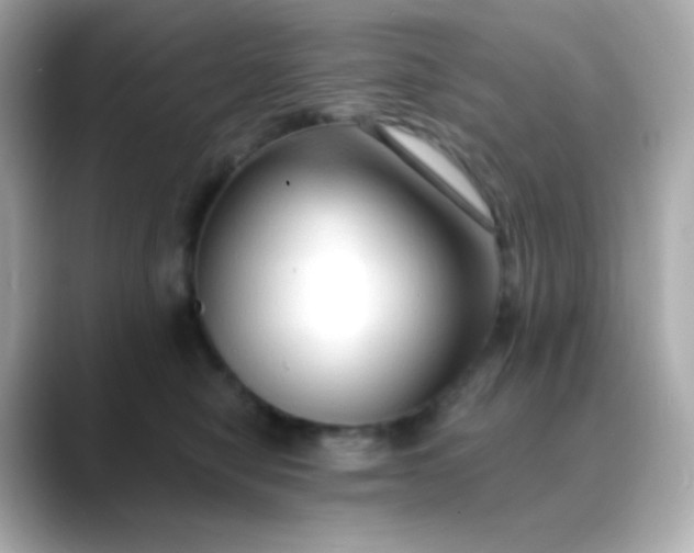 X0000088410470200706051157