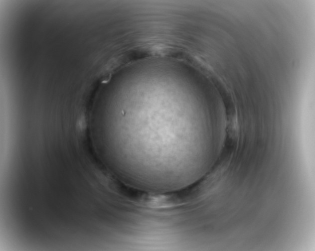 X0000088410472200706051157