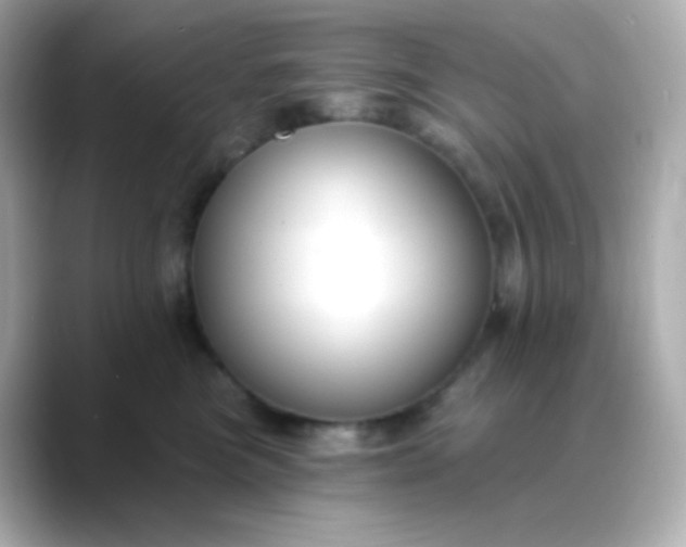 X0000088410473200706051157