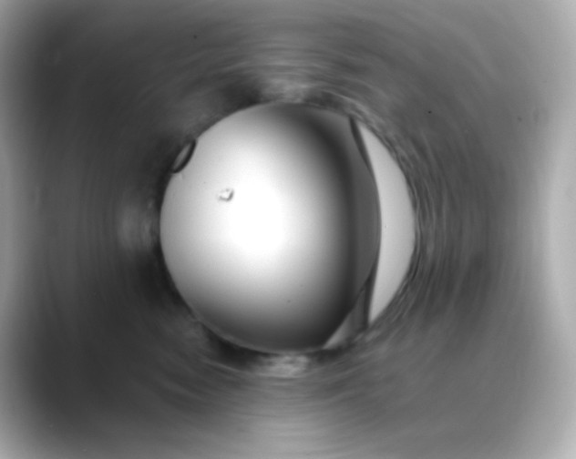 X0000088410474200706051157