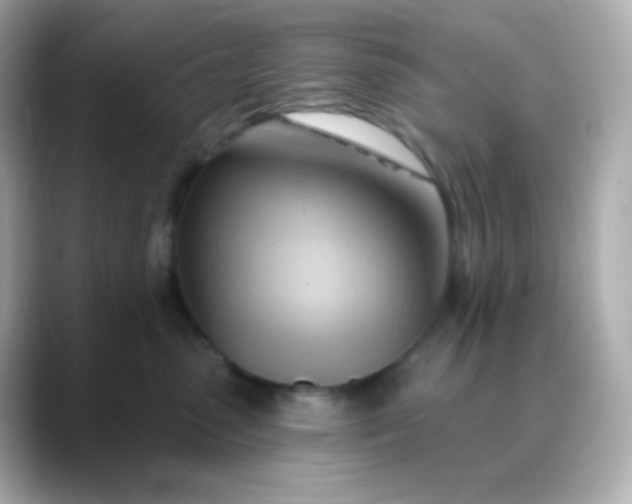 X0000088410475200706051157