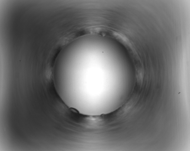 X0000088410477200706051157