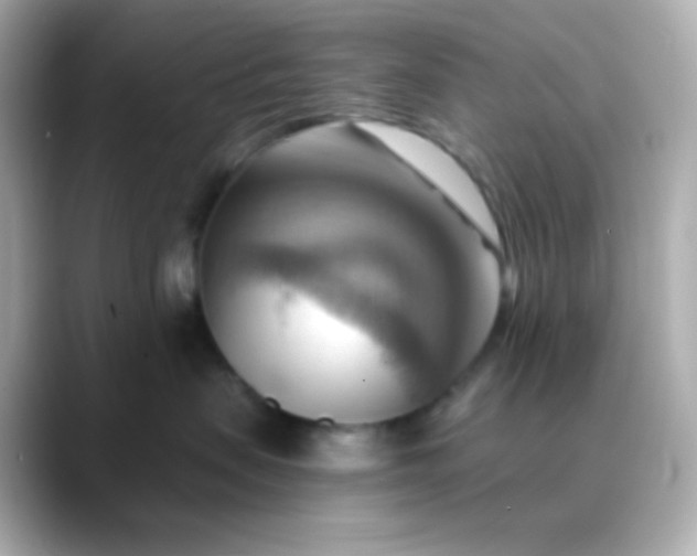 X0000088410479200706051157