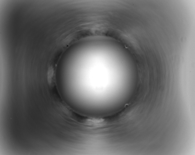 X0000088410480200706051157