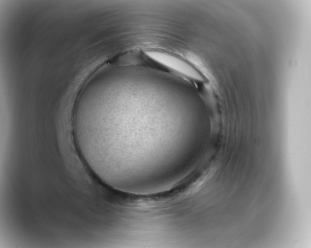 X0000088410481200706051156