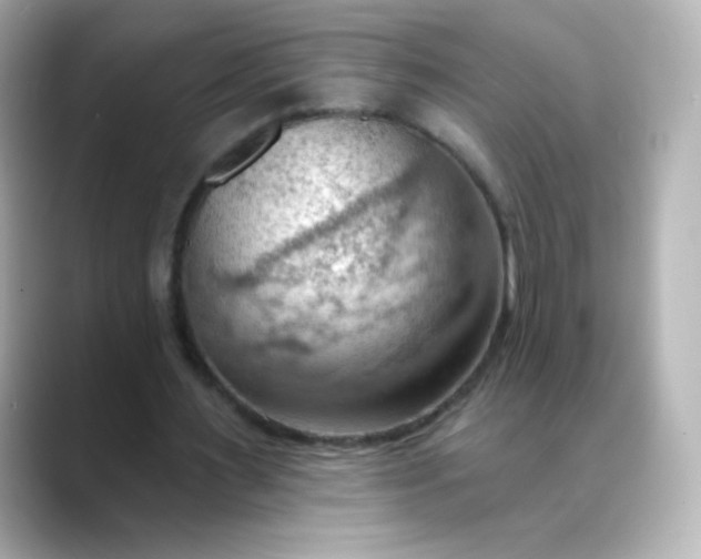 X0000088410483200706051156