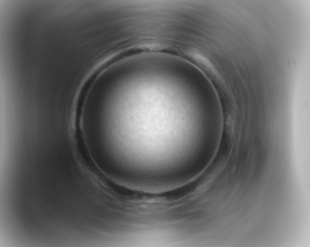 X0000088410484200706051156