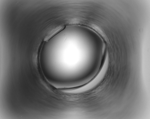 X0000088410485200706051156