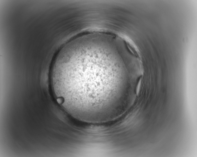 X0000088410487200706051156