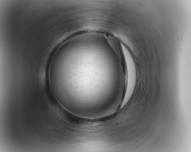 X0000088410488200706051156