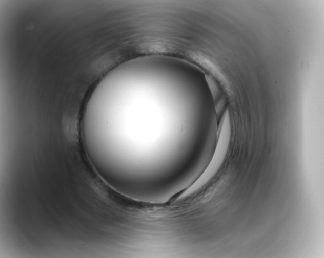 X0000088410489200706051156