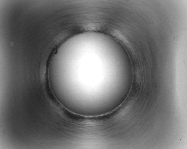 X0000088410490200706051156