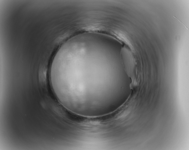 X0000088410491200706051156