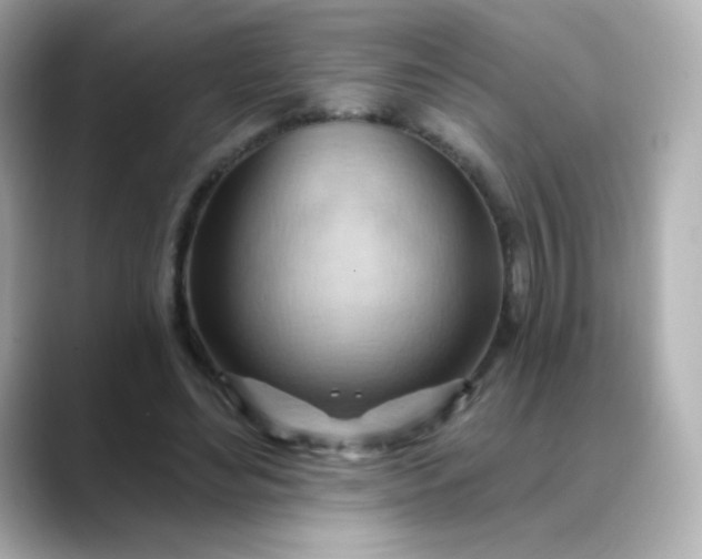 X0000088410492200706051156