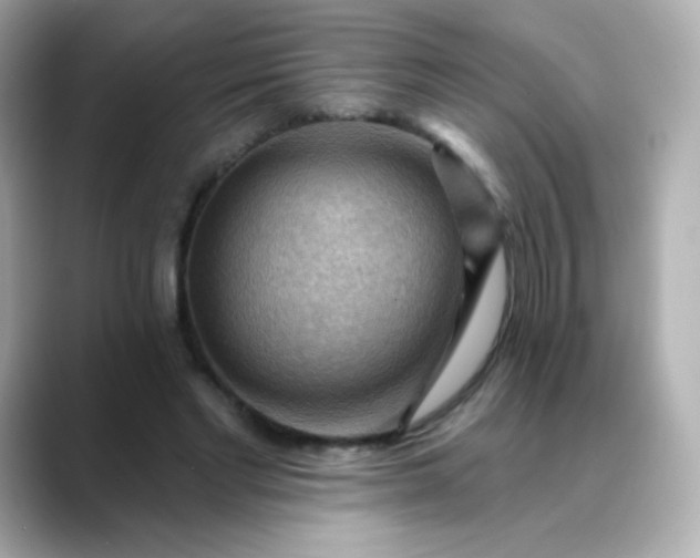 X0000088410493200706051156