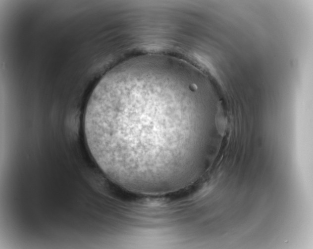 X0000088410495200706051156