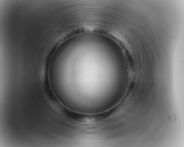 X0000088410496200706051156