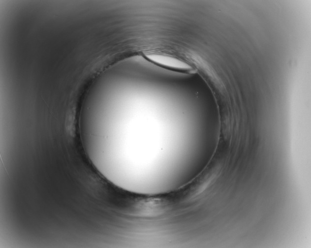 X0000088410497200706051156