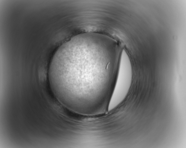 X0000088410499200706051156