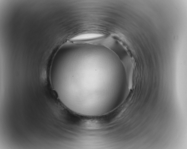 X0000088410500200706051156