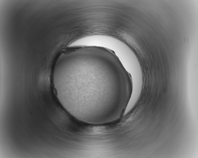 X0000088410501200706051156