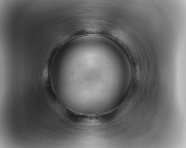 X0000088410502200706051156