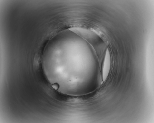 X0000088410503200706051156