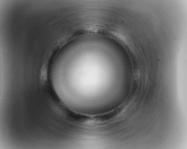 X0000088410504200706051156