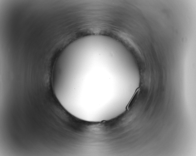 X0000088410505200706051156