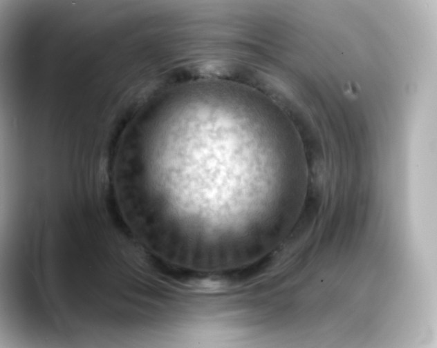 X0000088410506200706051156