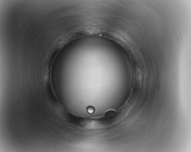 X0000088410507200706051156